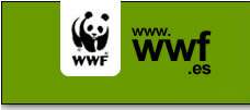 WWF/ADENA PIDE LA SUSPENSIÓN DEFINITIVA DE LAS PROSPECCIÓNES